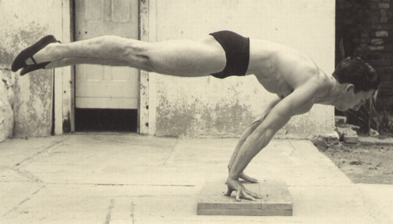 Top Planche on Fingertips